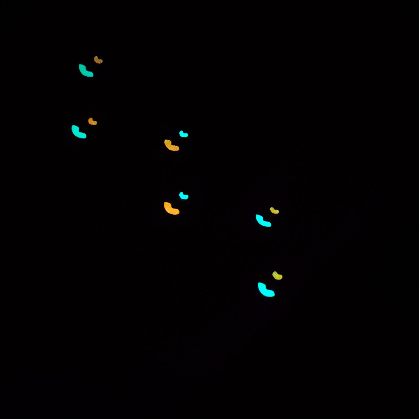 Radium Angry Bird Glow Magic
