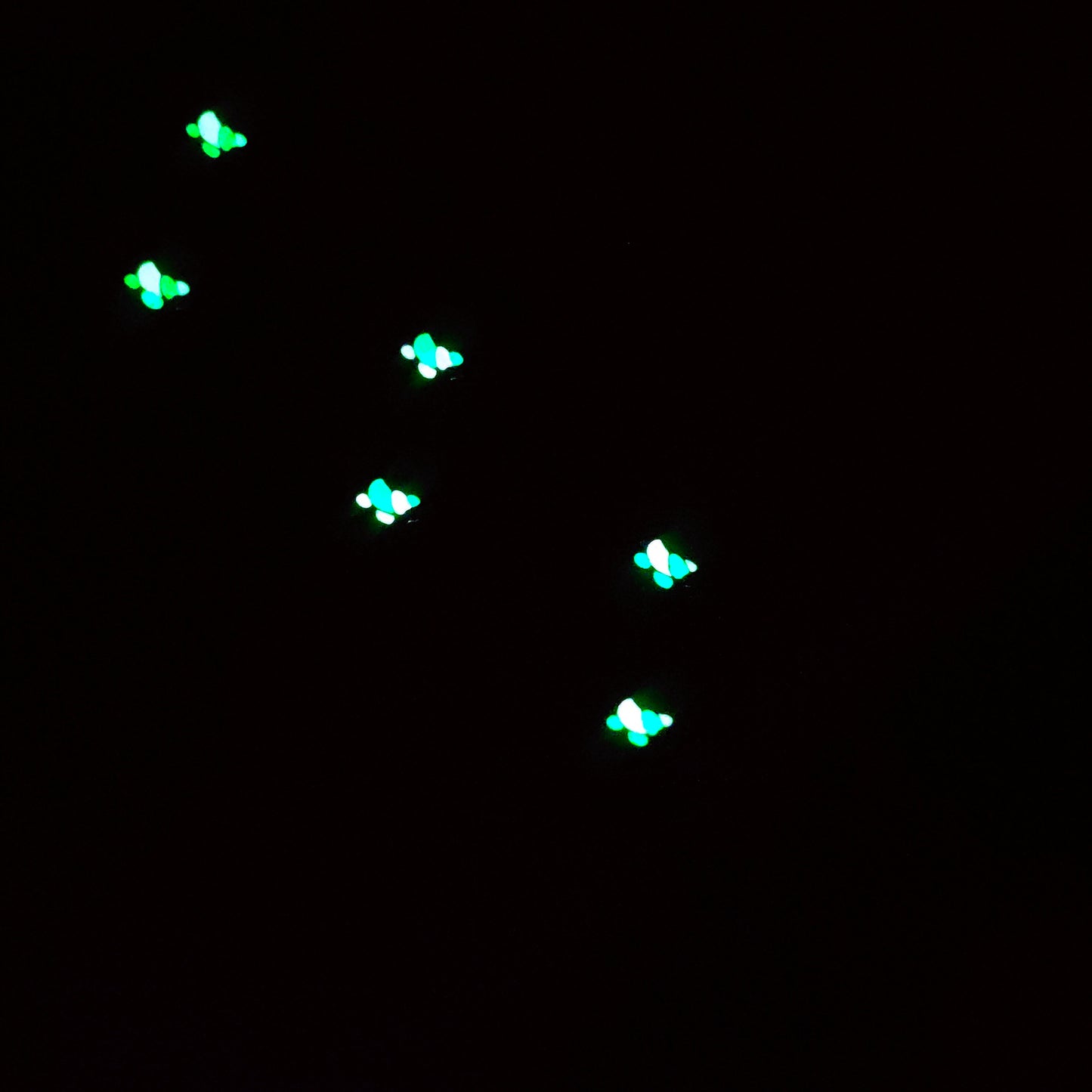Radium Bird Magic  Glow